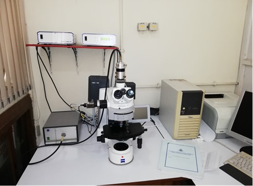 Zeiss Z1M microscope