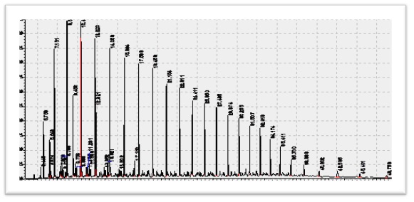 Gas Chromatogram of Chak Naurang Well Crude Oil