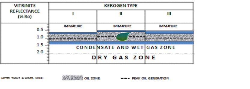 Vitrinite Reflectance Value